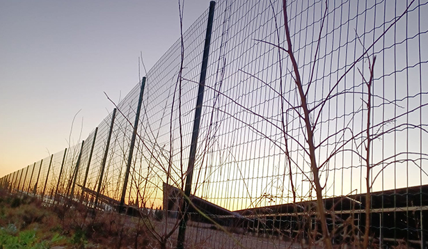 Création d'une haie paysagères au cœur des corbières avec la plantation de 1000 arbres / Travail avec un écologue sur les essences et les implantations